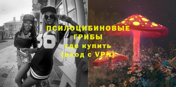 ПСИЛОЦИБИНОВЫЕ ГРИБЫ Абинск