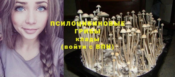 ПСИЛОЦИБИНОВЫЕ ГРИБЫ Абдулино