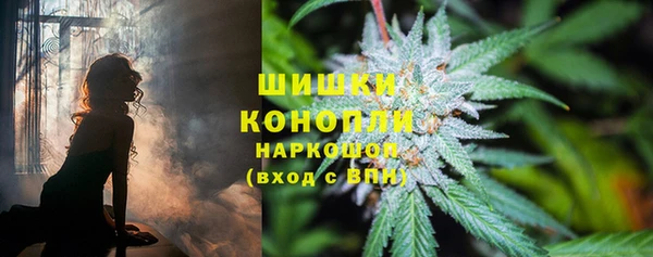ПСИЛОЦИБИНОВЫЕ ГРИБЫ Абдулино