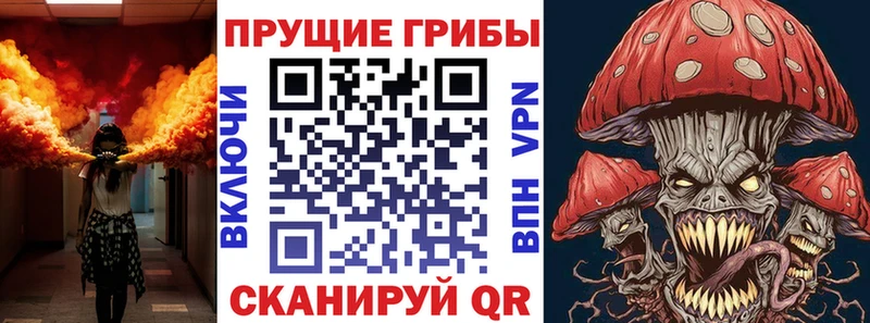 Псилоцибиновые грибы мухоморы  Северская 